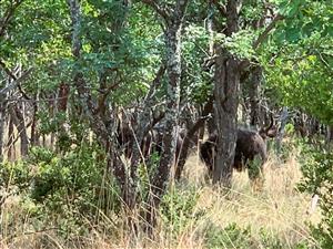 Vacant Land Residential For Sale in Koro Creek Golf Estate