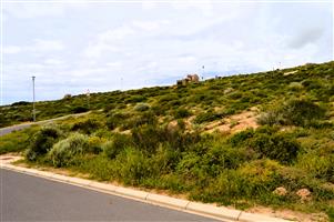 Good vibes happen on the tides