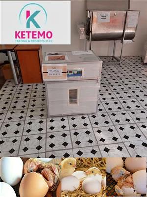 Incubator from capacity 128s up 320s