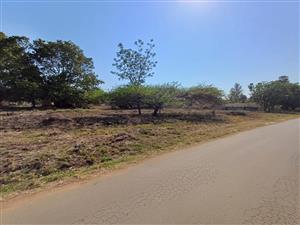 Empty stand for sale in old town, Louis Trichardt