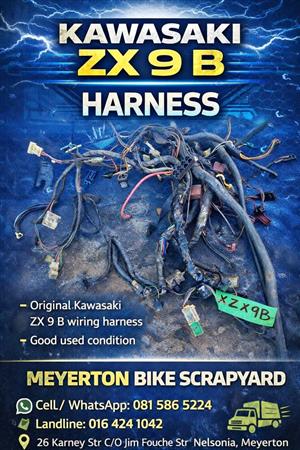 Kawasaki ZX 9 B harness. Meyerton bike scrapyard new & secondhand spares. Andre