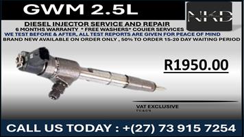GWM 2.5L Diesel Injectors 