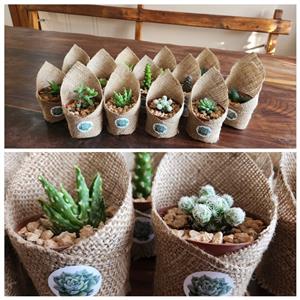 Tablegifts for guests