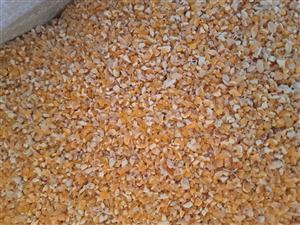 Crushed Maize 