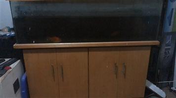 5ft fish tank with two fish pumps