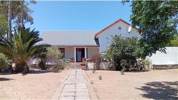 STURDY OLD HOUSE ON A LARGE PLOT