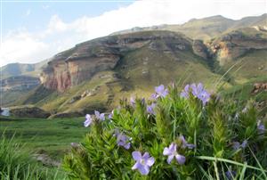 Guesthouse Accommodation, Clarens, Free State, South Africa - self catering, BnB, farm stay, boutique hotel