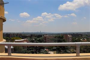 Sunny 2 Bedroom Apartment in a Pet Friendly Building!