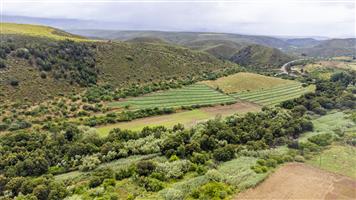 Farm For Sale in George Rural