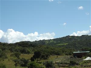 A once-off Black Friday opportunity — when it’s gone, it’s gone.