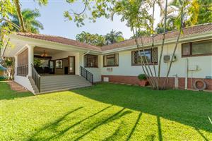 Enchanting and Stunning Entertainers Dream