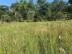 Discover the Essence of Kranspoort: Your Oasis Awaits!