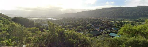 Vacant Land Residential For Sale in Sedgefield Central