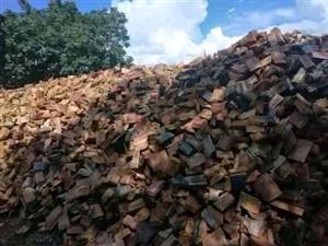 Firewood