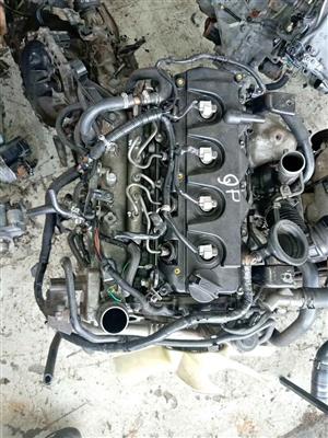 NISSAN HARDBODY NP300 YD25 TDI ENGINES FOR SALE