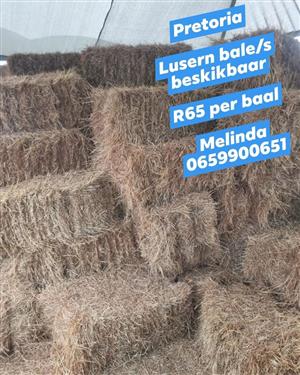 Lusern bale/s beskikbaar