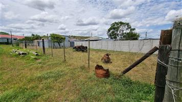 House For Sale in Brandwacht