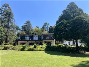 A Home for Every Mood — Discover the Magic of Winterskloof Living