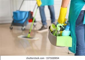 Elshadi cleaners contact us for more details 