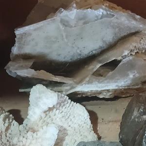 Stones for collector