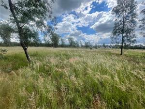 Eye of Africa Vicinity: Expansive Land with Limitless Development & Investment Prospects