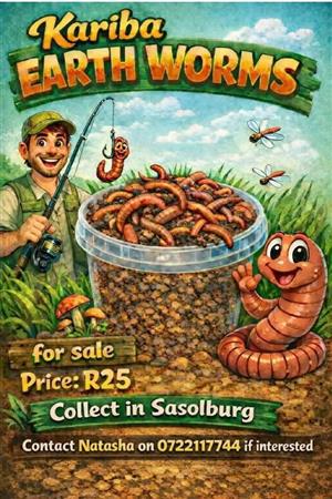 Kariba Earthworms