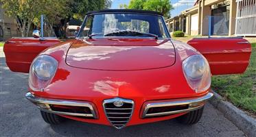 1967 Alfa Romeo Spid