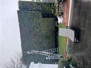 GARDENING MAINTENANCE AND LANDSCAPING 