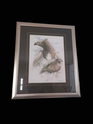 2 x Beautiful Framed Signed Eagle Drawings