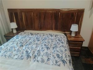 Kopstuk en 2 kassies en spieelkas R9500