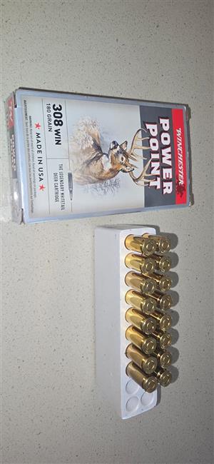 16 x 308 win 180 grain Patrone