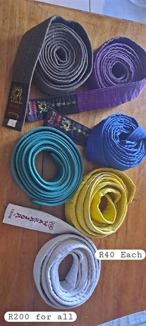 Martial arts belts