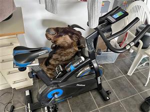 Reebok Elliptical Trainer