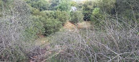 Vacant Land Residential For Sale in Bayswater