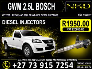 Injectors_GWM_2.5L 