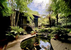 Luxury Lifestyle Home in Waterkloof Secure Boomed area