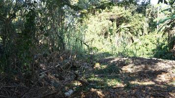 Vacant land in quiet street