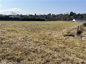 Exceptional Vacant Stand in River Goose Estate – Space, Sunlight & Security