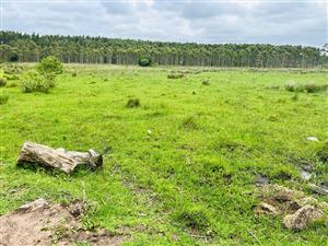 Prime Vacant Land for Development in Port Dunford