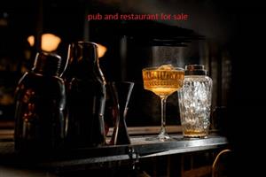 Busy watering hole pub & grab for sale!