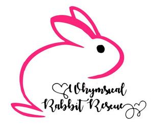 Whimsical Rabbit Rescue