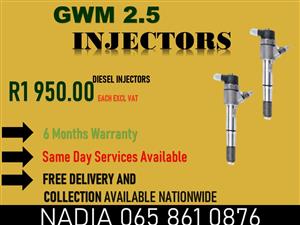 GWM 2.5 DIESEL INJECTORS FOR SALE OR TO RECON NATIONWIDE