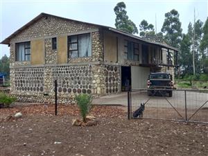 Tranquil Smallholding with established Macadamia nut / Olive Plantation