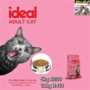 Ideal adult cat nutrition