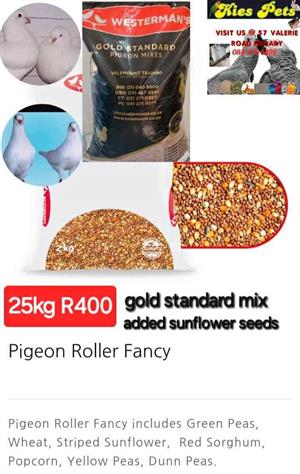 Pigeon roller  fancy mix