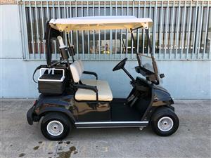 eCar 48V Golf Cart  Now Ready To Go