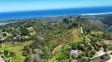 Farm For Sale in Hoekwil