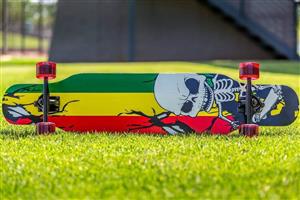 Longboard skateboards