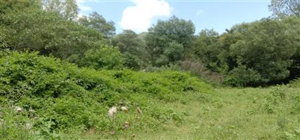 Land in Byrne Valley