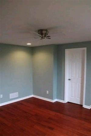 Painting Services